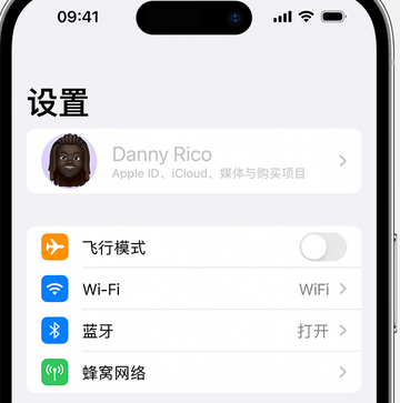 峡江appleID维修服务iPhone设置中Apple ID显示为灰色无法使用