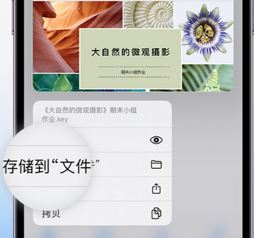 峡江apple维修中心分享iPhone文件应用中存储和找到下载文件