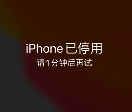 峡江苹果手机维修分享:iPhone 显示“不可用”或“已停用”怎么办？还能保留数据吗？ 