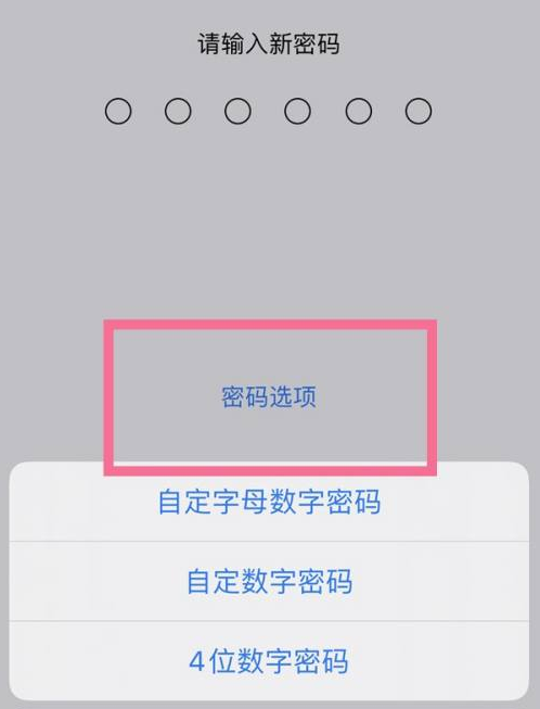 峡江苹果14维修分享iPhone 14plus设置密码的方法 