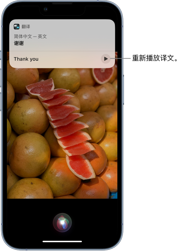 峡江苹果14维修分享 iPhone 14 机型中使用 Siri：了解 Siri 能帮你做什么 