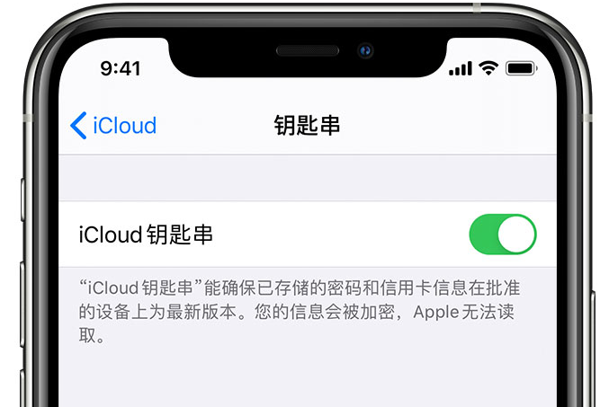 峡江苹果手机维修分享在 iPhone 上开启 iCloud 钥匙串之后会储存哪些信息 