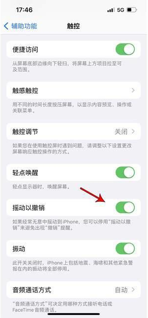 峡江苹果手机维修分享iPhone手机如何设置摇一摇删除文字 