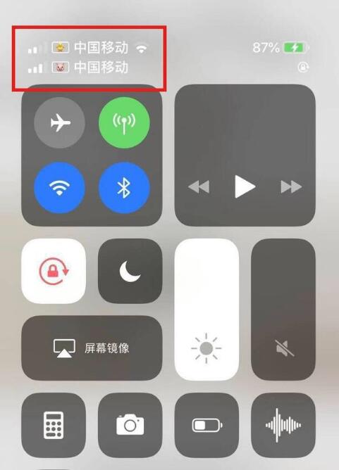 峡江苹果手机维修分享为 iPhone 12 双卡设置标签 